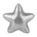 Silver star-shaped object on a white background
