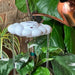 White cloud-shaped watering device with a smiling face being used to water a plant.