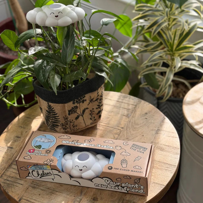 Plush cloud watering dispenser  with packaging on a wooden table surrounded by plants