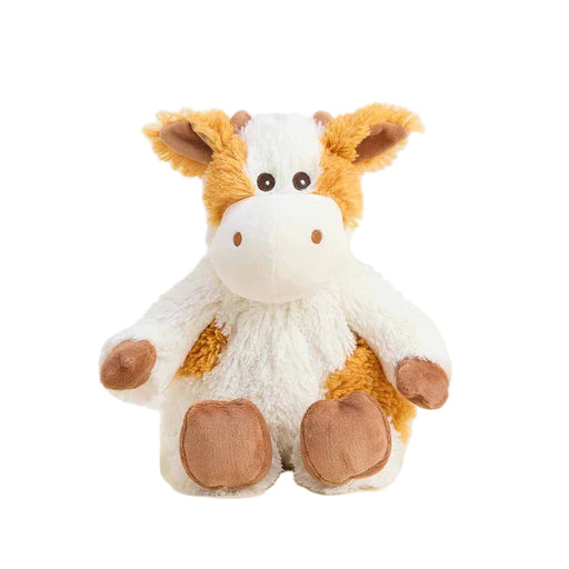 front view of the product