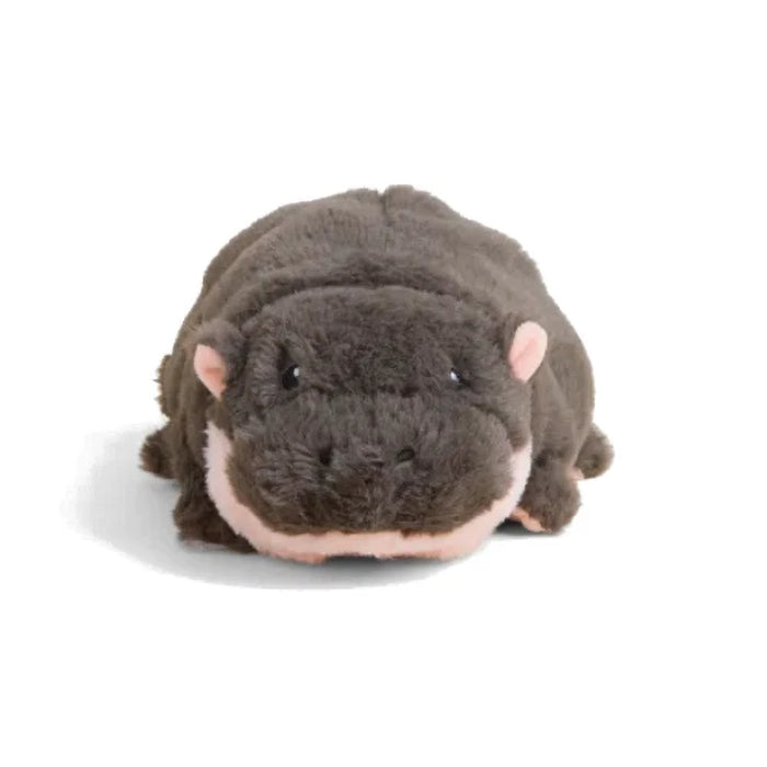 Cute baby hippo ready to be snuggled