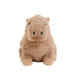 capybara jr front view