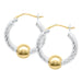 Two toned hoop earrings on a white background