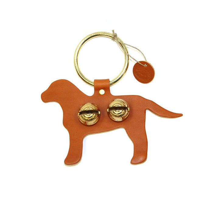 orange design lab dog.