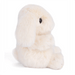 Shop in-store at Annie's Hallmark locations in Londonderry and Salem, NH, or explore our full selection online.
