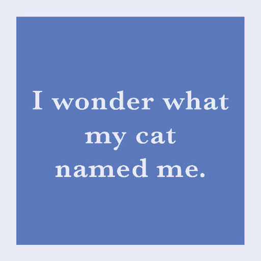 Drinks in Me  Drink Coaster "... What my cat names me" 