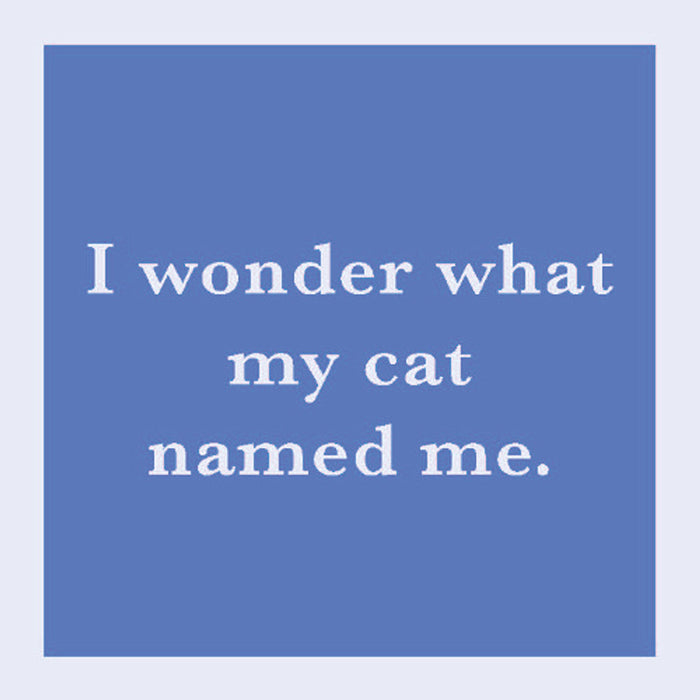 Drinks in Me  Drink Coaster "... What my cat names me" 