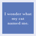 Drinks in Me  Drink Coaster "... What my cat names me" 