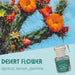 Cactus with orange flowers and a bottle labeled 'Desert Flower' on a blue background