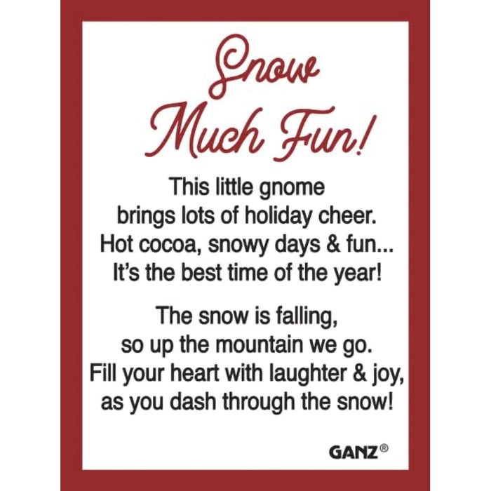 Text card with holiday message and GANZ branding