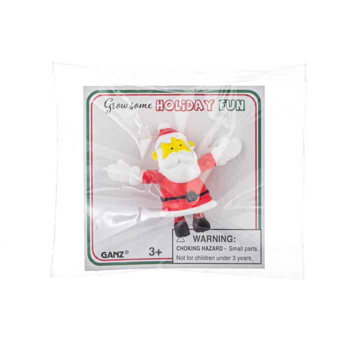 Animated Santa Claus figure in packaging with Ganz branding on a white background