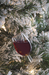 Decorative glass ornament filled with red liquid hanging on a snow-covered Christmas tree.