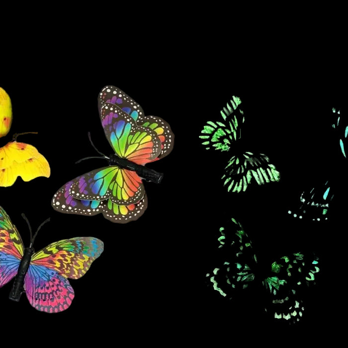 A set of glow-in-the-dark butterfly magnets  or decals displayed on a black background, with the text 'GOT GLOW?' in neon-style lettering at the top. The butterflies feature vibrant multicolor patterns, including yellow, green, blue, pink, and purple, with some shown glowing as bright green and cyan on the right.