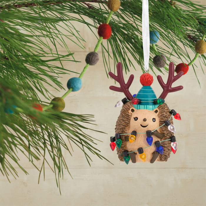 Hallmark : Festive Hedgehog Hallmark Ornament