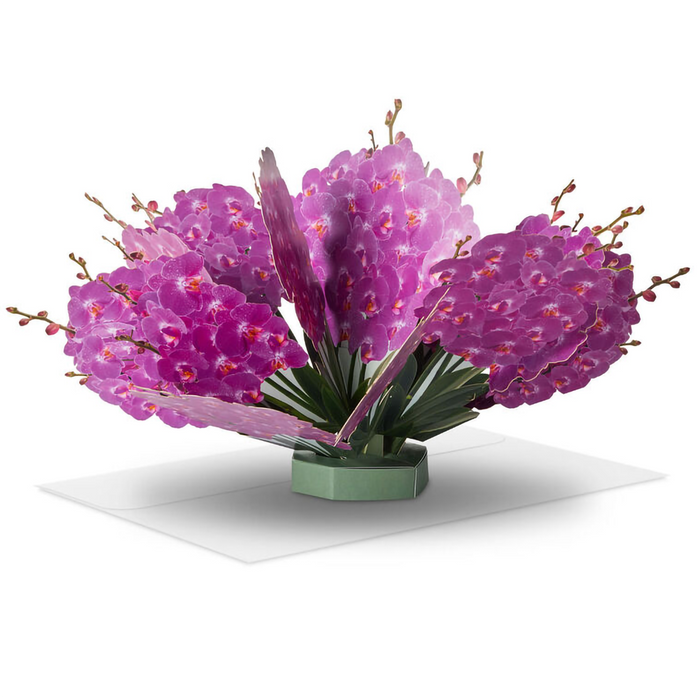 Hallmark : Build-a-Bouquet Pop-Up Paper Flowers