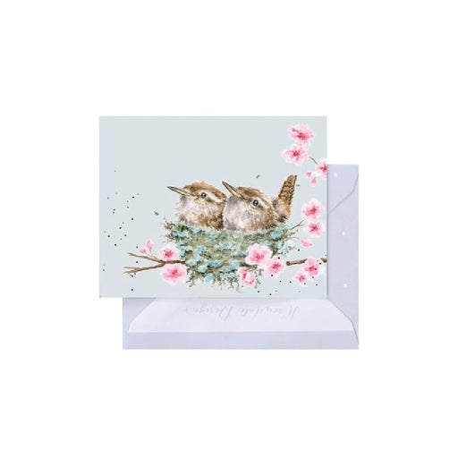 Two colorful birds nestled in a cozy nest, featured on a charming greeting card design.