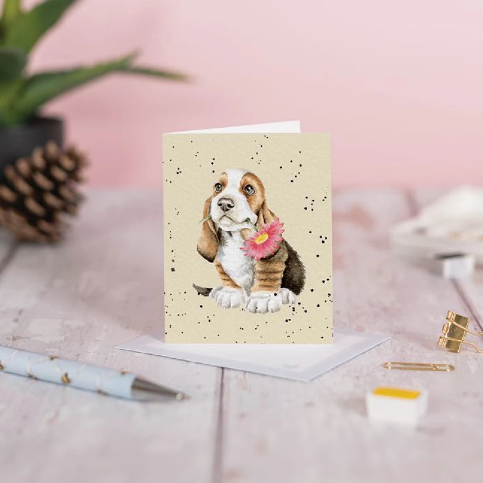 A cheerful birthday card showcasing a basset hound with floppy ears, adorned with a festive party hat and vibrant decorations.
