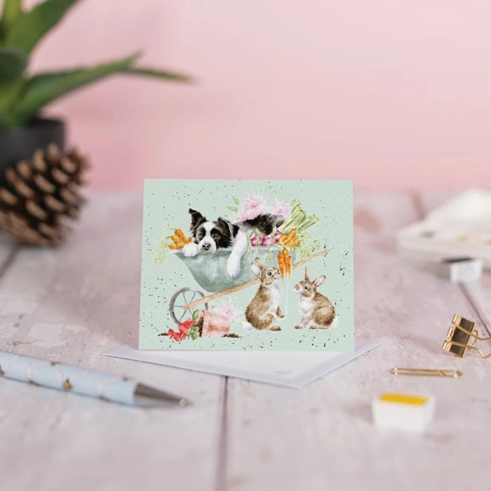 A card depicting a playful scene with two dogs and a cat nestled in a wheelbarrow.