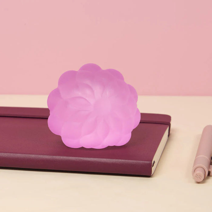 Meet Gump Surface - the soft and squishy stressball you love with sensory textures.