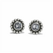 Twinkle mini post earrings