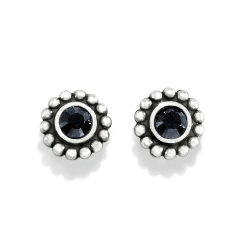 The Brighton Twinkle Mini Post Earrings in Black bring a subtle, sophisticated sparkle to every look.