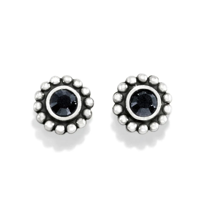 The Brighton Twinkle Mini Post Earrings in Black bring a subtle, sophisticated sparkle to every look.