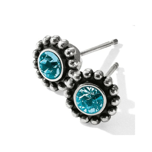 Twinkle mini post earrings zircon