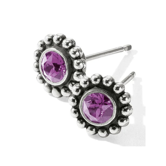 Twinkle Mini Post Amethyst Earrings