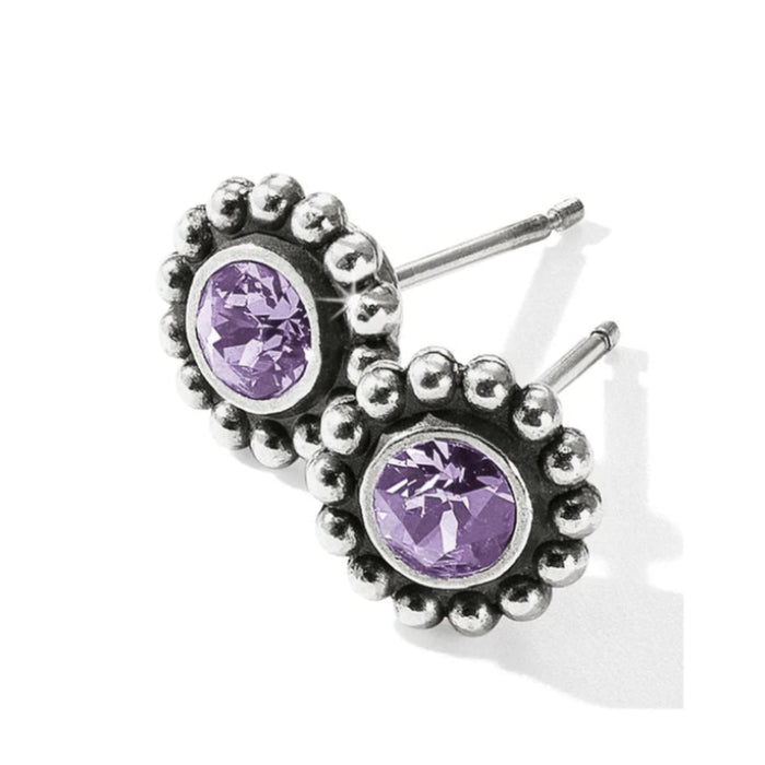 These Brighton Twinkle Mini Post Tanzanite earrings showcase vivid tanzanite-colored crystals that catch the light beautifully. 