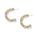 The Brighton Meridian Petite Station Hoop Earrings bring refined elegance to every outfit. Sparkling crystal stations catch the light beautifully