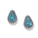 Elegant Twinkle Luxe teardrop post earrings featuring a sparkling teardrop design with a polished finish.