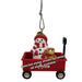 This charming Ganz Ashley Christmas Ornament keepsake adds a personal feel to your Christmas tree and creates a beautiful display filled with holiday spirit.