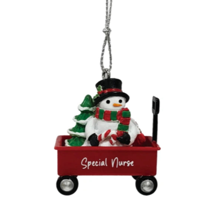 This Ganz Special Nurse Christmas Ornament is a thoughtful keepsake that honors the care and dedication of nurses. 
