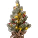  It also makes a thoughtful gift for friends and family. Enjoy its festive beauty throughout the Christmas season.