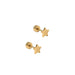 Playful and shining, the Lennon Screwback Stud Earrings feature a petite cut-out star design crafted in polished gold-toned stainless steel.