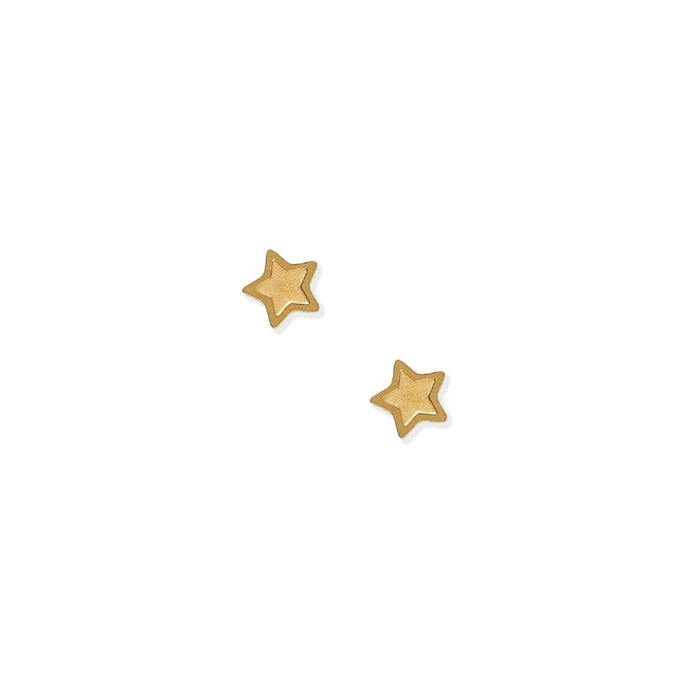 Playful and shining, the Lennon Screwback Stud Earrings feature a petite cut-out star design crafted in polished gold-toned stainless steel.