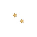 Playful and shining, the Lennon Screwback Stud Earrings feature a petite cut-out star design crafted in polished gold-toned stainless steel.