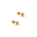  the Sweet Clover Screwback Stud Earrings in gold feature a delicate clover silhouette that adds a charming, refined accent to any ear stack. 