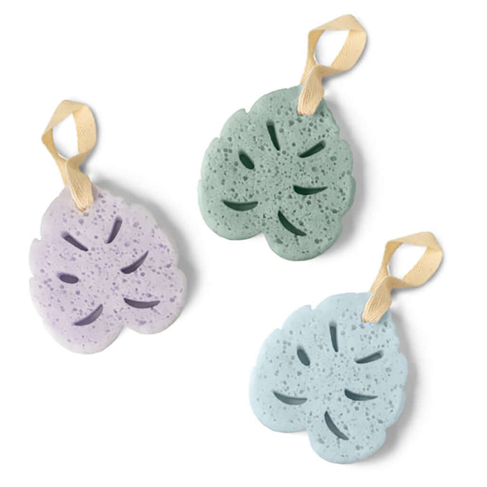 Soap Songe-Body Wash-Bath and Body products-Body Care-Travel products