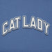 Close-up view of Life Is Good Women's Cat Lady Tee graphic showing bold white and navy outlined CAT LADY text on blue cotton fabric