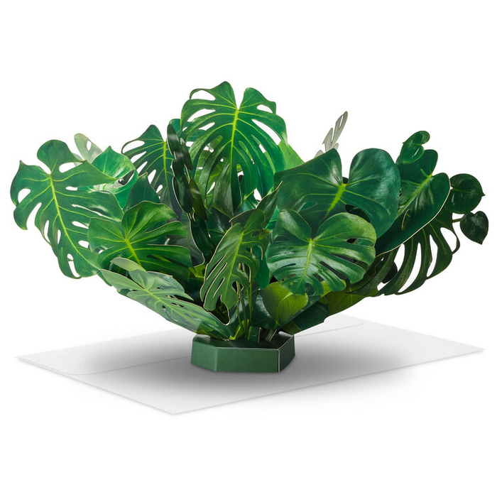 Hallmark : Build-a-Bouquet Pop-Up Paper Flowers