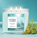 This uplifting fragrance captures the feeling of golden sunshine, fresh air, and carefree moments outdoors