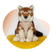 Plush toy wolf sitting on a yellow surface with a white background