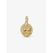 Pandora gold zodiac coin charm pendant with engraved lion and sparkling detail.