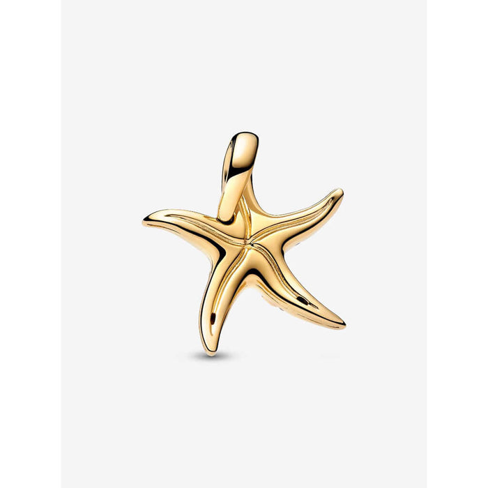 Shop in-store at Annie's Hallmark locations in Londonderry and Salem, NH, or explore our full selection online.