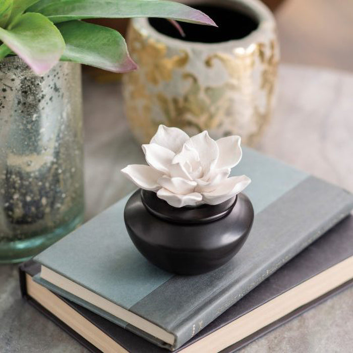 Decorative white lotus on a black base on top of books with potted plants in the background.