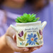 A woman holds a small ceramic pot containing a vibrant succulent plant, showcasing her interest in indoor gardening.