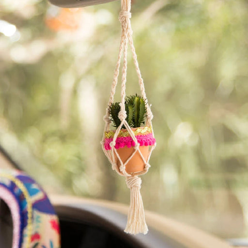 A macrame plant holder suspended from a rear view mirror, showcasing a small plant inside.
