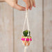 A decorative macrame plant holder hanging from a rear view mirror, featuring a vibrant green plant.