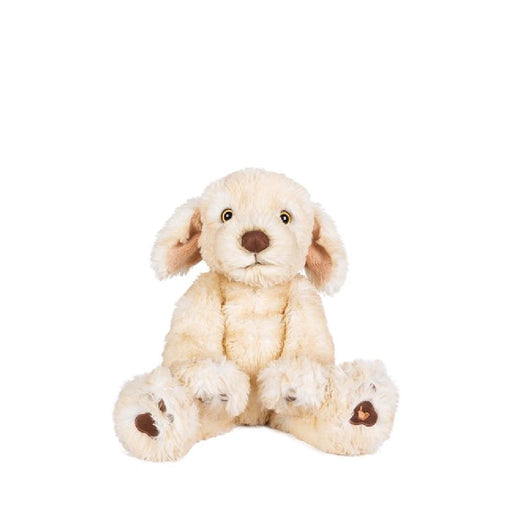 A plush stuffed dog sitting upright against a plain white background.
